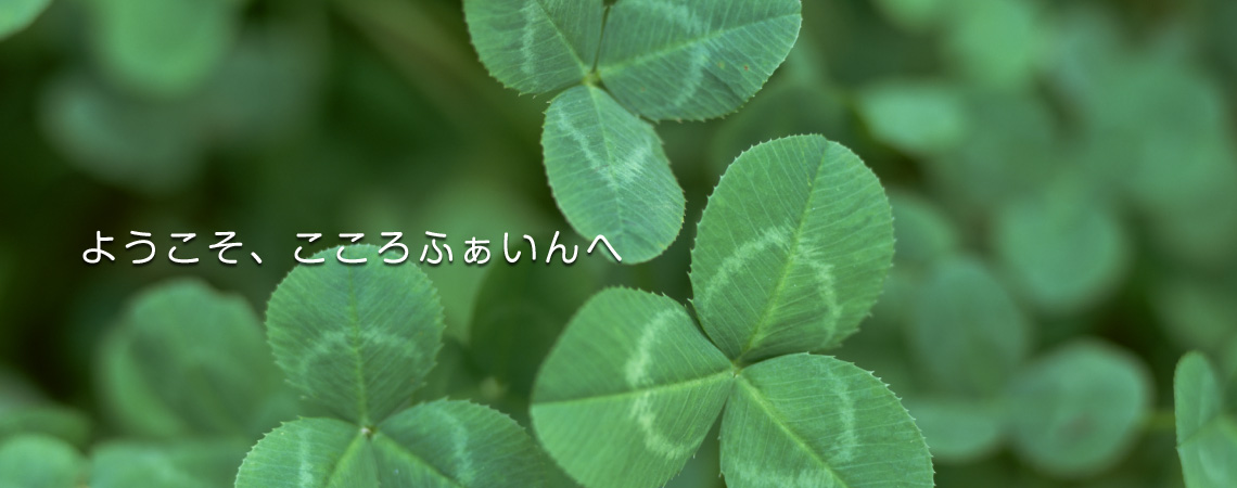 ようこそこころふぁいんへ